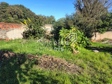 Terreno Com 500m² - Oficinas