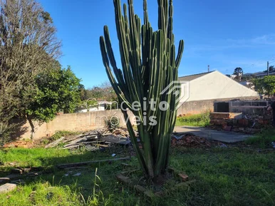 Terreno Com 500m² - Oficinas