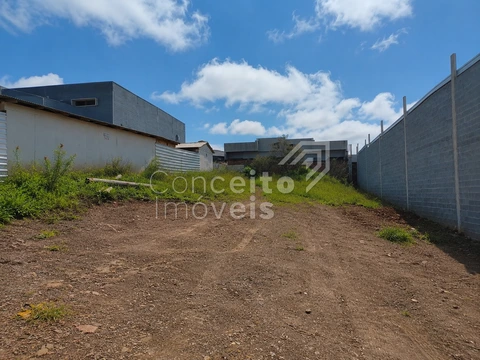 Foto Terreno