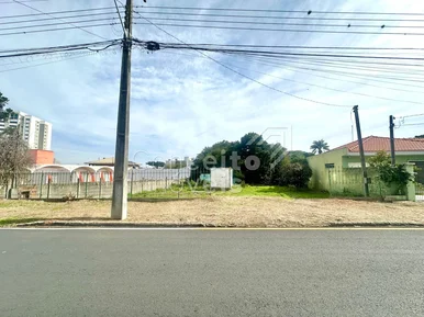 Terreno Com 1246m²  - órfãs