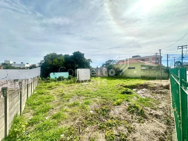 Terreno Com 1246m²  - órfãs