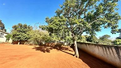Terreno Com 546 M² - Olarias
