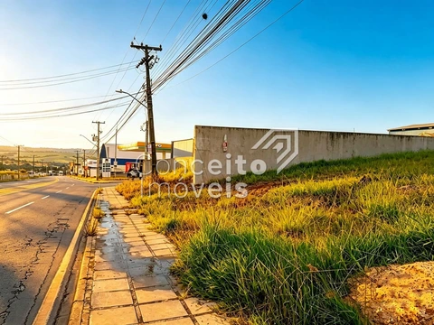 Foto Terreno