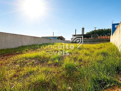 Foto Terreno