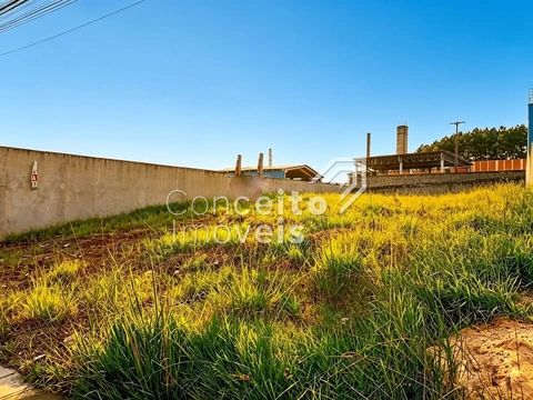 Foto Terreno