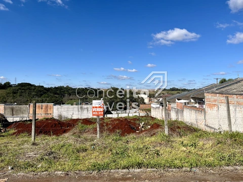 Foto Terreno