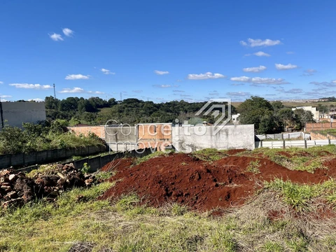 Foto Terreno