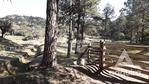 Foto Rural