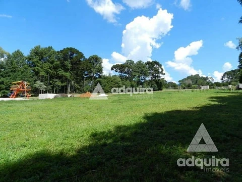 Foto Terreno