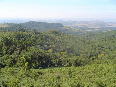 Foto Rural