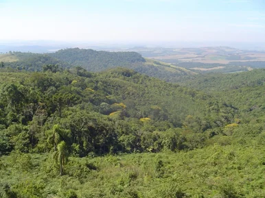 <strong>Fazenda à venda, Zona Rural, Tibagi, PR</strong>