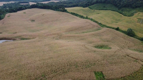 Foto Rural