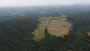 <strong>Fazenda Faxinal à venda, Socavão, Socavão, PR</strong>