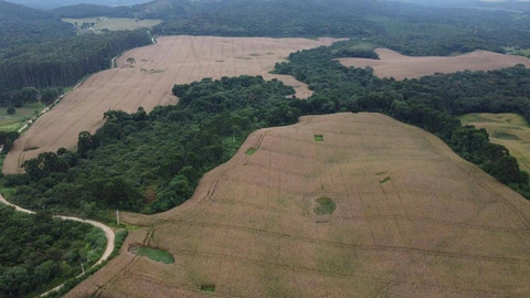 Foto Rural