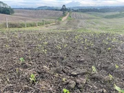 <strong>Fazenda à venda, Centro, Castro, PR</strong>