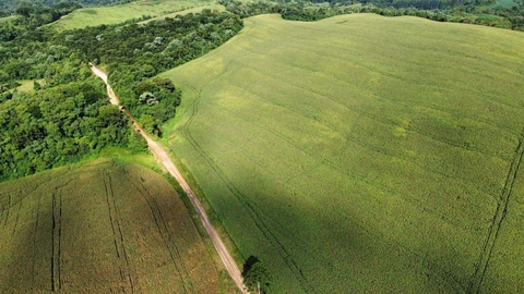 Foto Rural