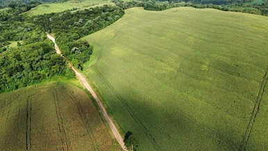 <strong>Fazenda à venda, Centro, Castro, PR</strong>