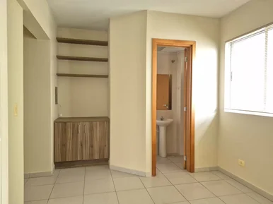 Sala Para Locação, Centro, Ponta Grossa, Pr