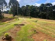<strong>Sítio à venda Catanduva de Fora, Carambeí - PR</strong>