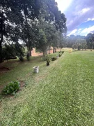 <strong>Sítio à venda Catanduva de Fora, Carambeí - PR</strong>