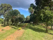 <strong>Sítio à venda Catanduva de Fora, Carambeí - PR</strong>