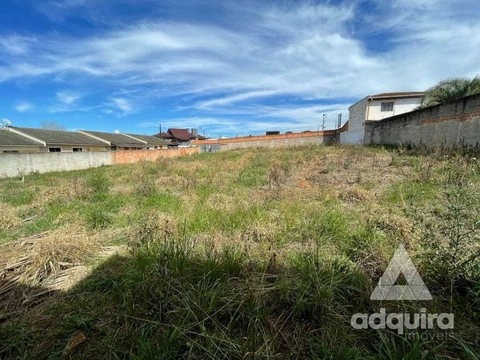 Foto Terreno