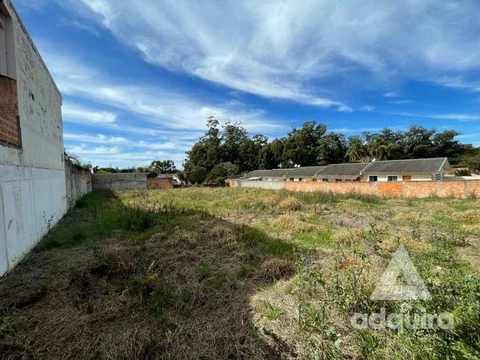 Foto Terreno