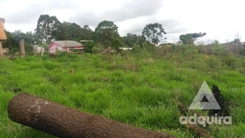 Foto Terreno
