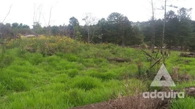Terreno à Venda 11481m², Uvaranas, Ponta Grossa - Pr