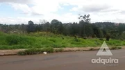 <strong>Terreno à venda 11481M², Uvaranas, Ponta Grossa - PR</strong>
