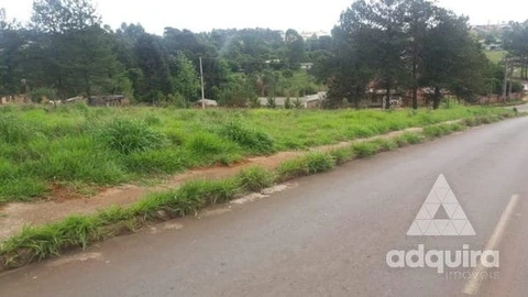 Foto Terreno