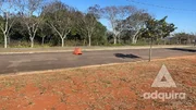 <strong>Terreno à venda 300M², Jardim Carvalho, Ponta Grossa - PR</strong>