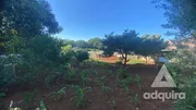 <strong>Terreno à venda 980.77M², Colônia Dona Luíza, Ponta Grossa -</strong>