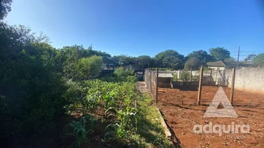 Terreno à Venda 980.77m², Colônia Dona Luíza