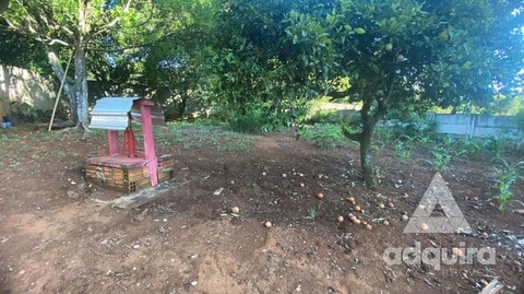 Foto Terreno