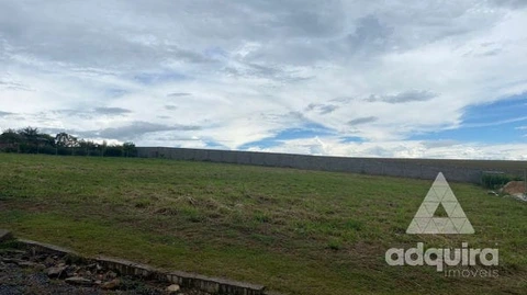 Foto Terreno