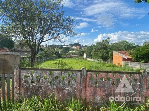Foto Terreno