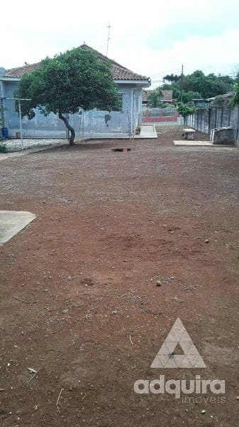 Foto Terreno