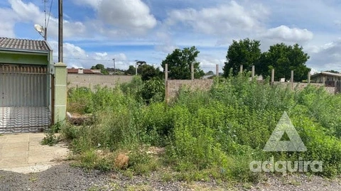 Foto Terreno