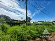 <strong>Terreno à venda 490M², Oficinas, Ponta Grossa - PR</strong>