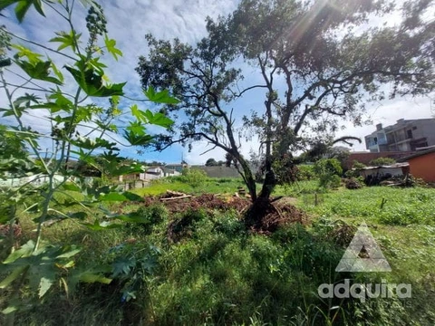 Foto Terreno