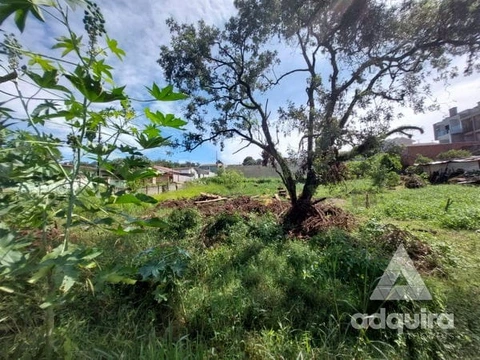 Foto Terreno
