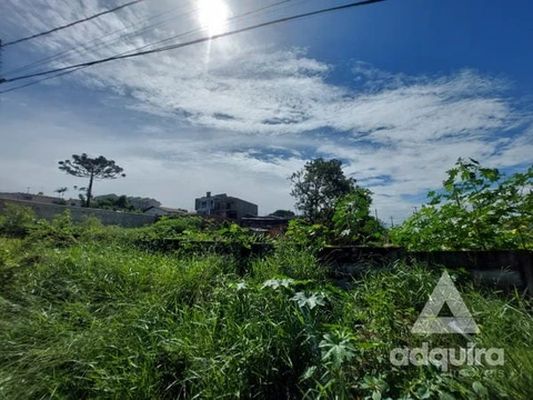 Foto Terreno