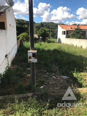 Foto Terreno