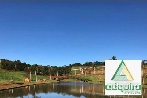 Foto Terreno