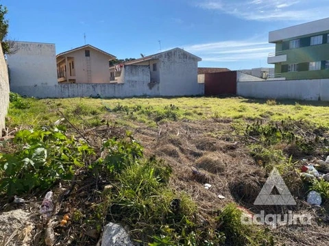Foto Terreno