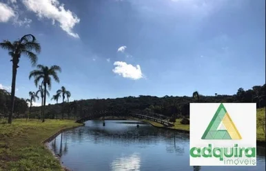 Terreno à Venda 300m², Colônia Dona Luíza, Ponta Grossa - Pr