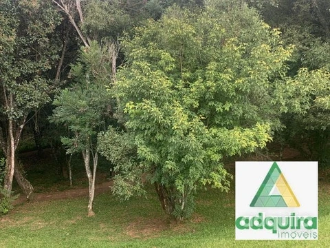 Foto Terreno