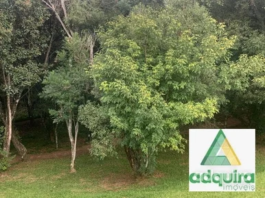 Terreno à Venda 300m², Jardim Carvalho, Ponta Grossa - Pr