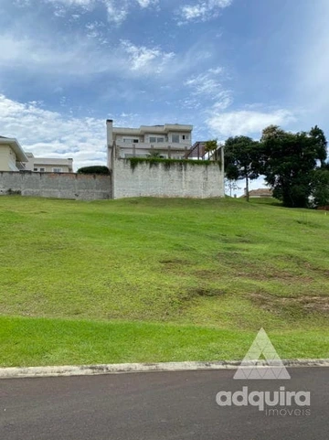 Foto Terreno